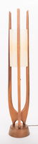 Mid-Century Modern Sculptural Teak Lamp - 3