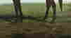 item-58814137=12
