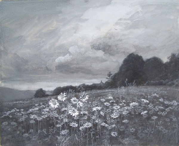 Walworth Stilson landscape of a daisy meadow