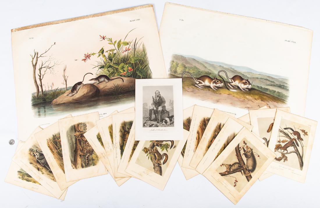 2 Bowen Audubon Folios, Animals & 17 Octavo Ed, 21: Twenty-one (21) John James Audubon (American, 1785-1851) and John Woodhouse Audubon (American, 1812-1862) prints, including "The Viviparous Quadrupeds Of North America". 1st-2nd items: Two (2) hand-co