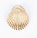 14K Jewelry incl. Seashells, 6 items - 13