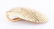 14K Jewelry incl. Seashells, 6 items - 16