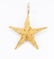 14K Jewelry incl. Seashells, 6 items - 3