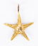 14K Jewelry incl. Seashells, 6 items - 4