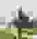 item-72815516=3