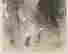 item-72815950=12