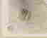 item-72815950=13