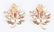 14k Jewelry incl. earrings and pins - 6 pcs total - 5