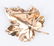 14k Jewelry incl. earrings and pins - 6 pcs total - 8