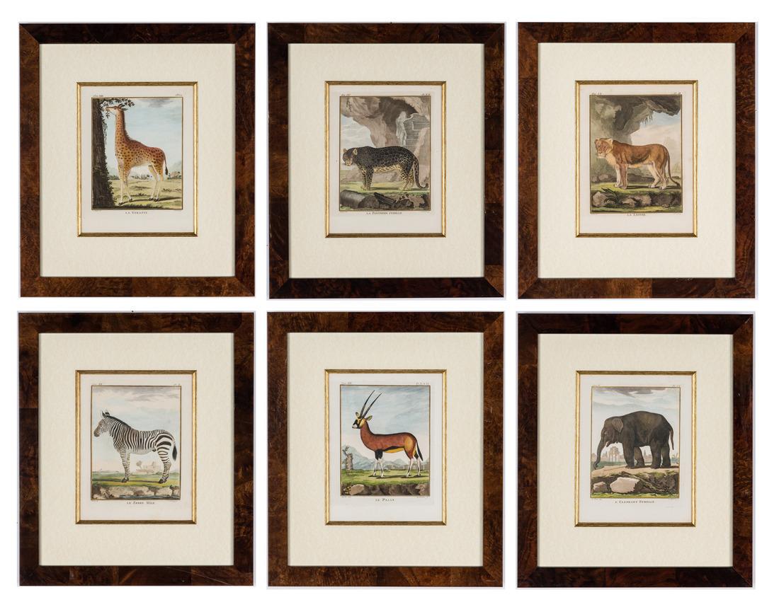 6 "Histoire Naturelle" Animal Engravings (1 of 20)