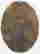item-75500277=4