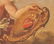Attr. Christian W.E. Dietrich, 2 Cherub Paintings - 17