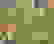 item-79808530=3