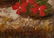George Clare O/C Floral Still Life - 8