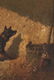 Vincent de Vos O/P, Dog With Insect - 5