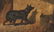 Vincent de Vos O/P, Dog With Insect - 6