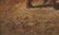 Vincent de Vos O/P, Dog With Insect - 8
