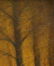 Harvey Joiner Oil Forest Landscape Painting - 5