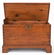 18th Century Diminutive Virginia Blanket Chest - 7