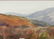 William Kidwell TN Watercolor Scene & Jim Gray Print - 14