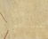 Sterling Strauser O/B, Nude Painting - 5