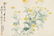 Japanese Watercolor Book plus Scroll - 7