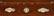 19th C. Burlwood Stationery or Letter Box - 7