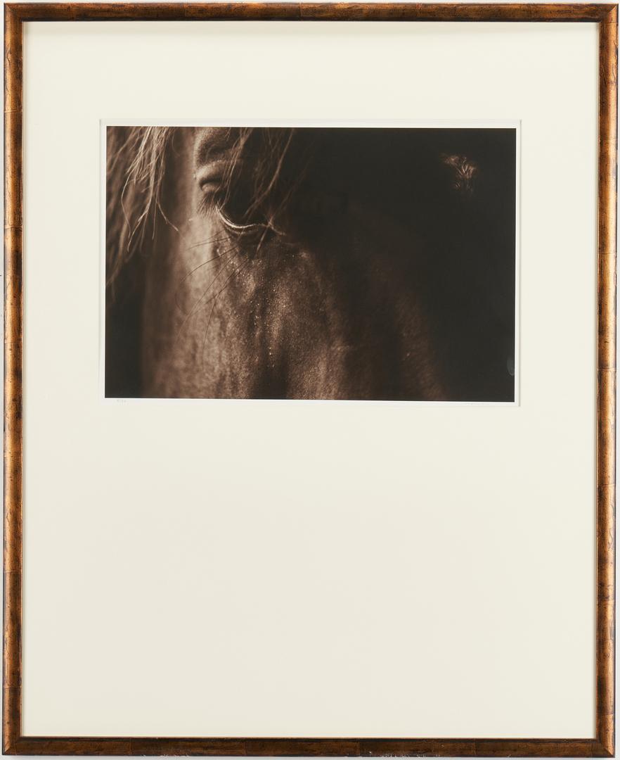 Jack Spencer Photograph, Beast Louisiana: Jack Spencer (b. 1951) brown tone selenium print titled "Beast Louisiana" depicting a close up view of a horse. Numbered "8/50" in pencil, lower left, signed "Spencer" in pencil, lower right. Label wi