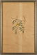 J. Audubon, Yellow-Poll Warbler, Havell Edition - 2