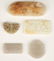 8 Chinese Carved Jade Items, incl. Purse - 9
