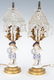 Group 5 Decorative Table Items & Baccarat Crystal - 12