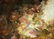 2 Darryl Glenn Steele O/C Paintings - 5