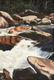 3 Alexander Dumas O/C, Great Smoky Mountain River - 11