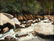 3 Alexander Dumas O/C, Great Smoky Mountain River - 13