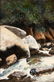 3 Alexander Dumas O/C, Great Smoky Mountain River - 14
