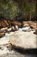 3 Alexander Dumas O/C, Great Smoky Mountain River - 15