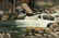 3 Alexander Dumas O/C, Great Smoky Mountain River - 5