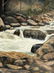 3 Alexander Dumas O/C, Great Smoky Mountain River - 7