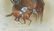 6 Horse Prints + 2 Horse Books, 8 items - 11