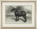 6 Horse Prints + 2 Horse Books, 8 items - 18