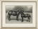 6 Horse Prints + 2 Horse Books, 8 items - 19