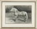 6 Horse Prints + 2 Horse Books, 8 items - 20