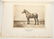 6 Horse Prints + 2 Horse Books, 8 items - 4