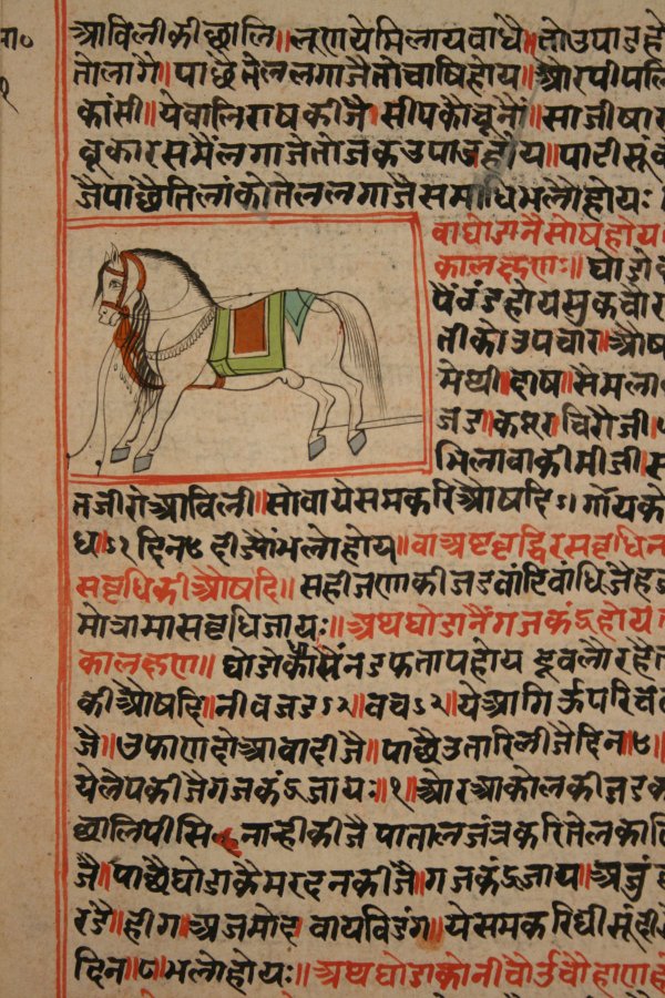Indian manuscript & watercolor, 19th century - 3
