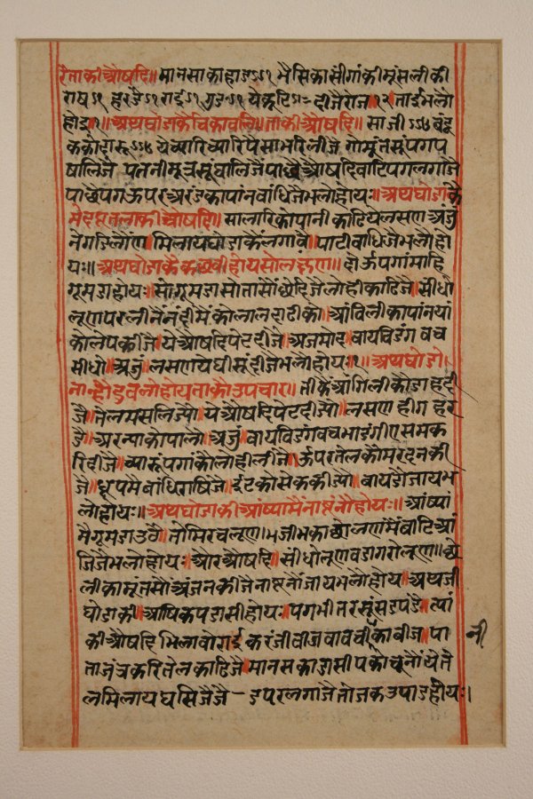 Indian manuscript & watercolor, 19th century - 4