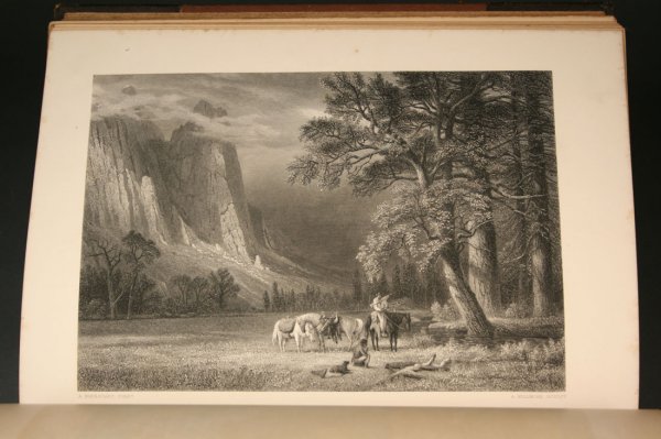 Art Journal books, 1875 & 1876 - 3