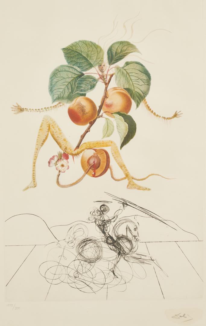 Salvador Dali Abricot Chevalier Lithograph (1 of 9)