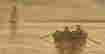 item-95168624=11
