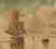 item-95168624=5