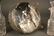 139: 19th c. English silverplated cruet set - 5